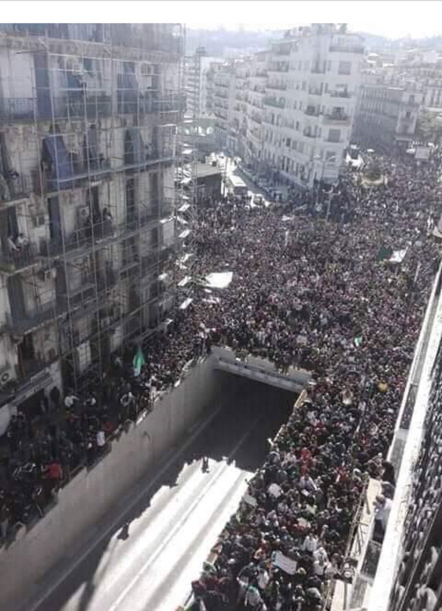 Al-Mouradi. Near the presidential palace. Algeria 