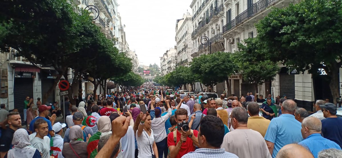 Algiers, 31st Friday of protests: the streets of downtown filled with people (Photos: DR)