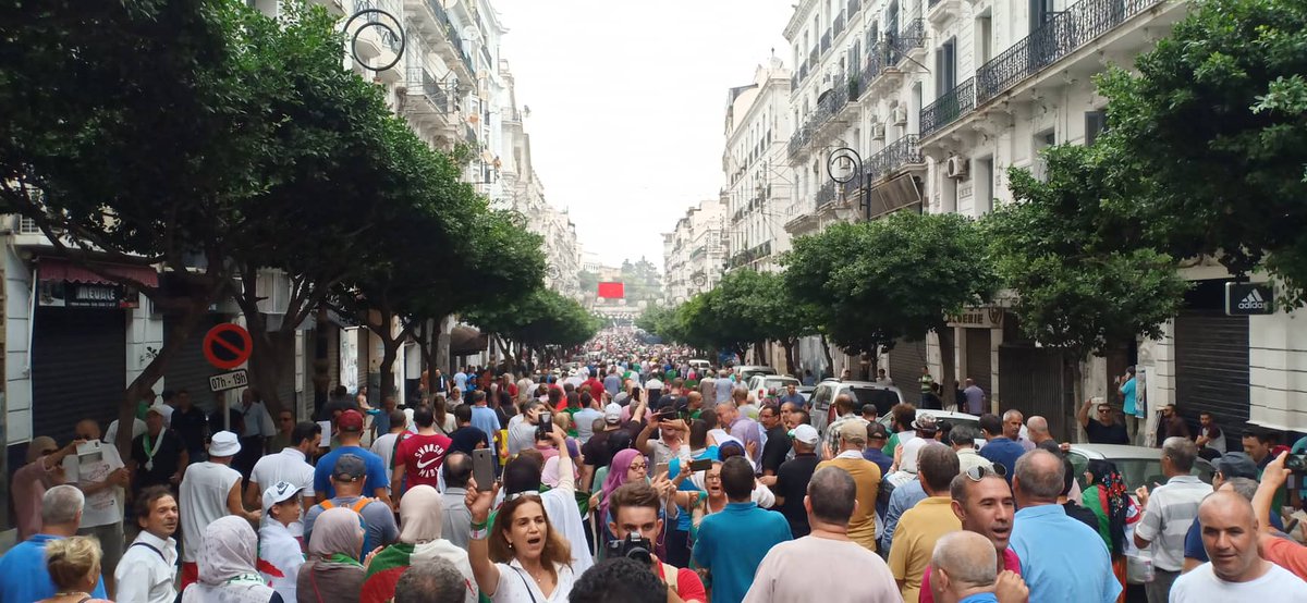 Algiers, 31st Friday of protests: the streets of downtown filled with people (Photos: DR)