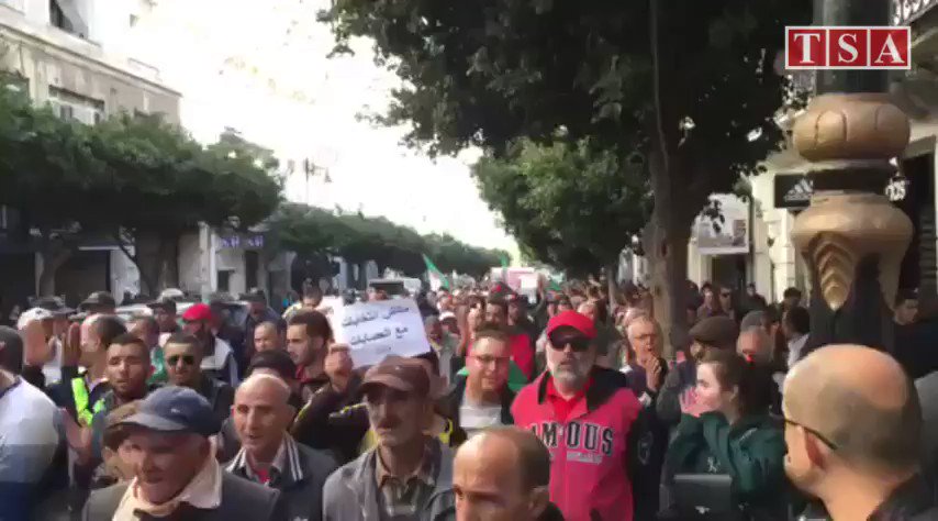 Algiers, 41st Friday: protesters chant: Talbin Hurriya.