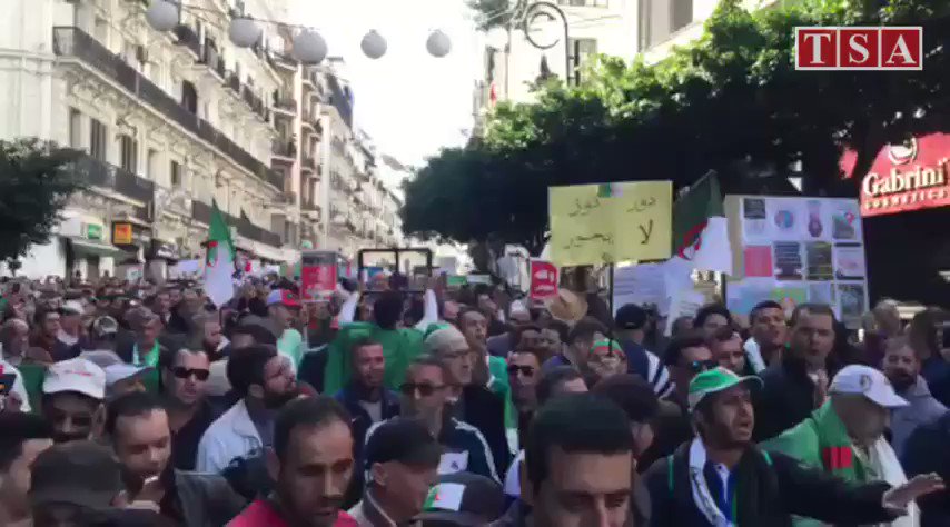 Algiers, 41st Friday: protesters chant: Hand in hand, we will obtain independence