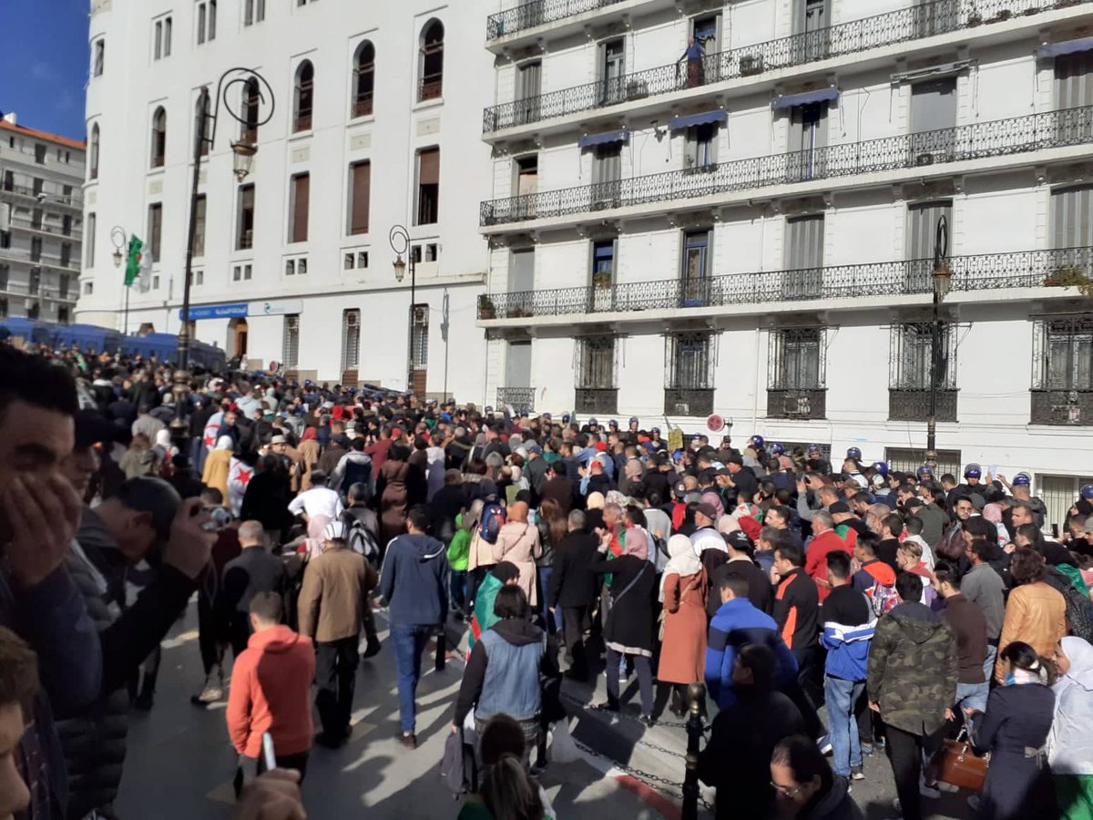 Alger : le 42e mardi en photos