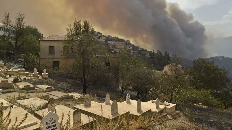 Algeria: the fires in Kabylia and in the north of the country, which killed at least 42 people